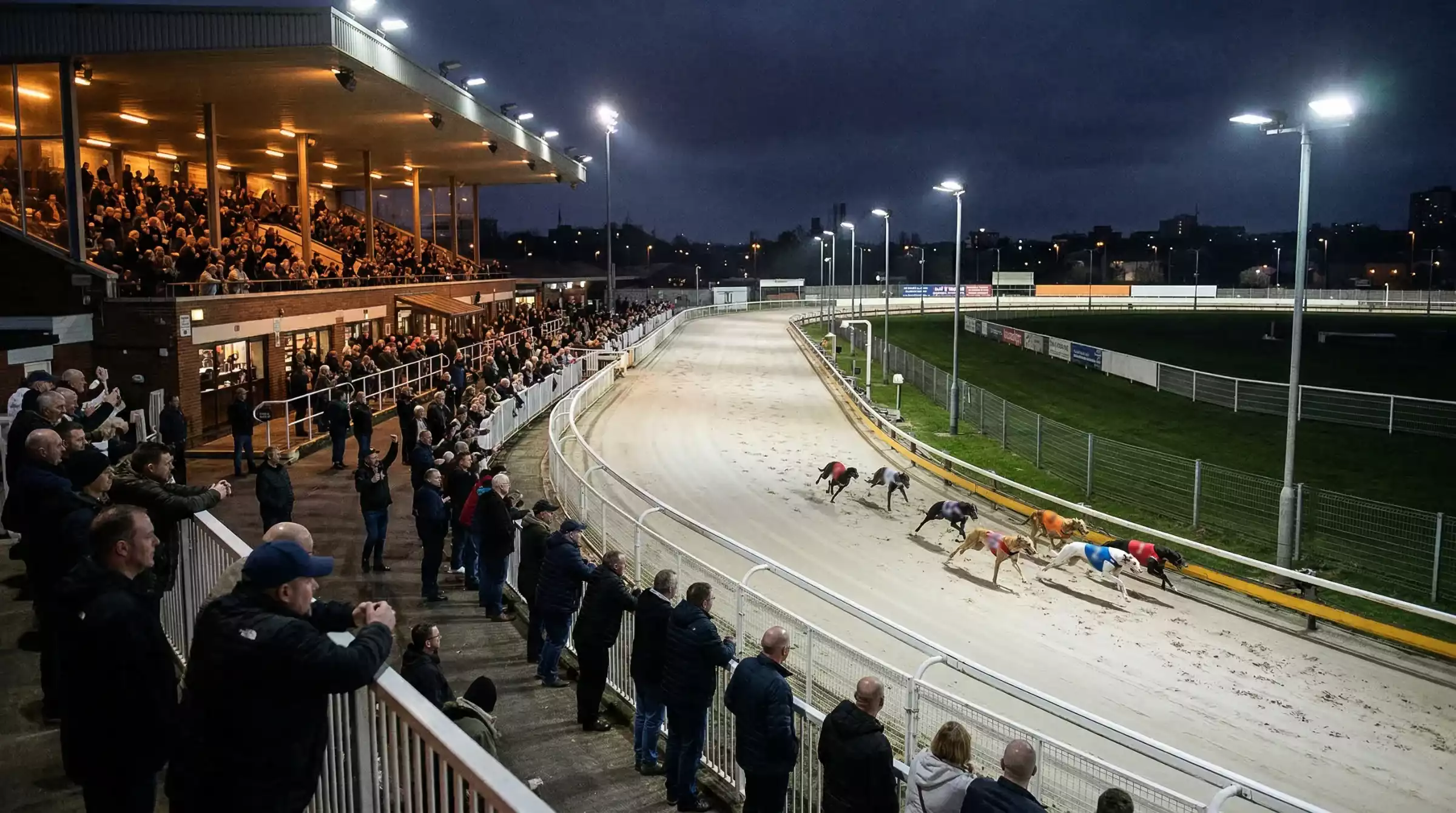 UK greyhound racing industry overview showing a licensed stadium on race night